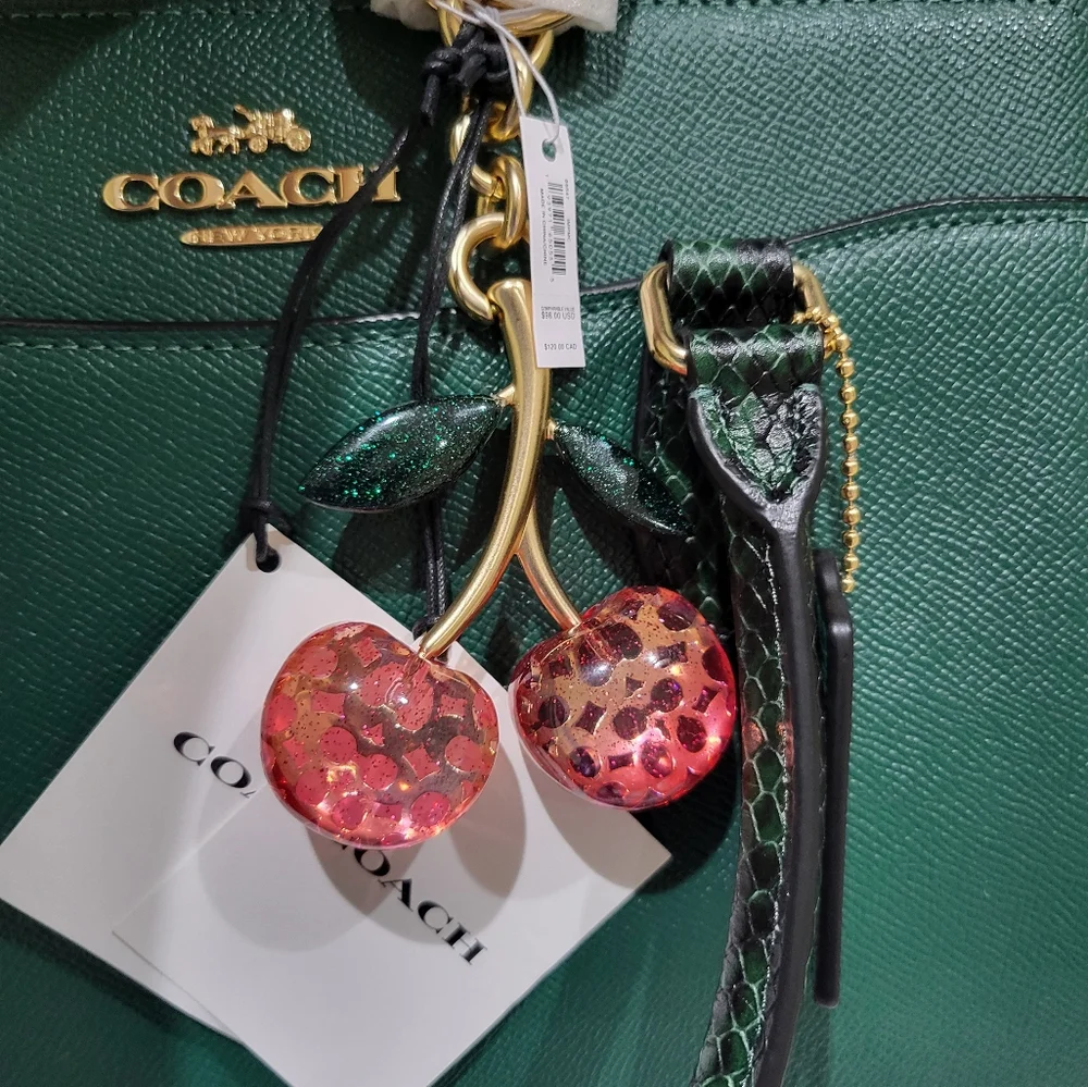 Coach resin metal